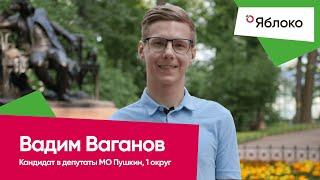 ‍️ Ваганов Вадим Александрович – кандидат в депутаты МО Пушкин, 1-й округ