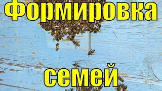 ФОРМИРОВКА СЕМЕЙ В ЗИМУ!!!