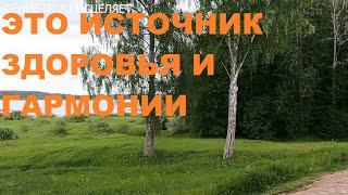 СЛУШАЯ ПЕНИЕ ПТИЦ ДУША ОТДЫХАЕТ ОТ ТРЕВОГ, ВИДЫ БОЖЕСТВЕННОЙ ПРИРОДЫ ЭТО ИСТОЧНИК РАДОСТИ И ГАРМОНИИ