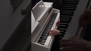 Antares W-500 - цифровое фортепиано с душой