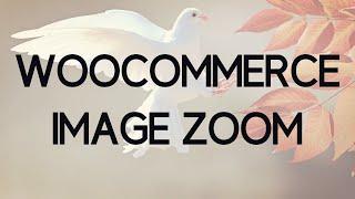 How to add a Image Zoom to your Wordpress Store Gallery