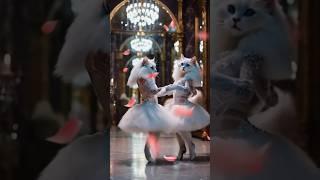 Allahabad Karen cat#cat# funny video#comedy video# bhojpuri song #nobita ##doraemonfacts #dor