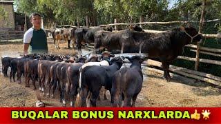 BUQALAR BONUS NARXLARDA ️33-587-50-50 / 91-204-17-32 ARZONCHI UKAMIZGA