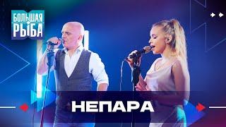 НЕПАРА. Концерт | Живой звук