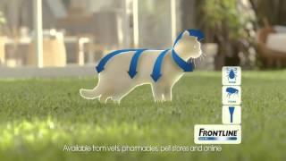 Love is not Enough - FRONTLINE Spot On TV commercial (Cat)