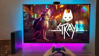 Stray Gameplay PS4 Slim (4K HDR TV)