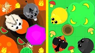 MOPE.IO BETA | ВЫБИВАЕМ РЕДКИХ ЖИВОТНЫХ | ИО ИГРА МОПИО