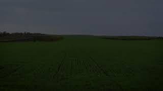 Wheat fields before and after 1 month near Zvenimir, Silistra province