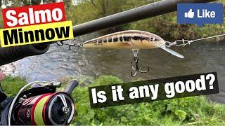 Salmo Minnow Lure-How Good is it?!