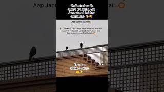 Jannat mai jane ki Dua...#dua #jannat #allah #islamic #status #subscribe #shorts #trending #share