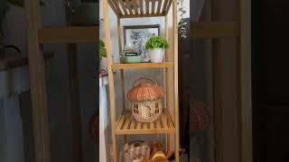 my cozy shelf decor  #homedecor #cozy #aesthetic #decor #home