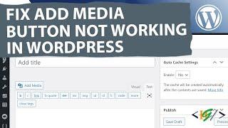 How to Fix Add Media Button Not Working in WordPress