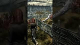 Тайна Рорикстеда в игре Скайрим! Тыкай в правый нижний угол для полного видео! #скайрим #mrcatgame