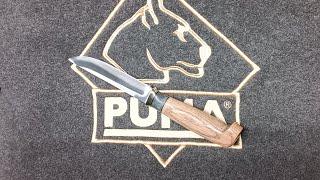 Грибок/Messer/Solingen Лютый Ножичек Подробно #анатолийлютый #pumaknives #вшурше