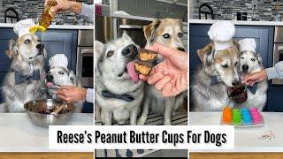 Reese’s Peanut Butter Cups For Dogs