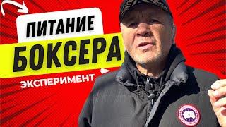 Питание Боксера / Бокс для начинающих