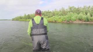 Fly Fishing For Silver (Coho) Salmon at Reel Action Alaska Lodge 720p HD