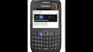 شرح إعدادات المتصفح / Configure Blackberry Browser