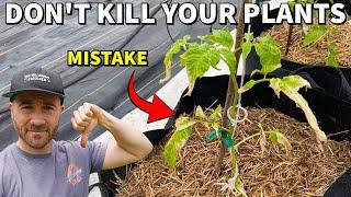 Don't Kill Your Plants! Harden Them Off Like This Right Now!