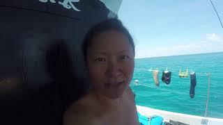 FISH OPTIONS... LIFE  IS ON BOAT SAILING GYPSY CHRISTINE  FKK TTAAK CATAMARAN