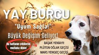 Yay Burcu Bu Hafta: Hayatındaki Değişimlere Uyum Sağla!