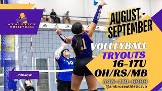 Join the Ambrose Athletics Volleyball Team Tryouts for 2024-2025
