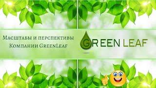 О компании Greenleaf Зеленый лист