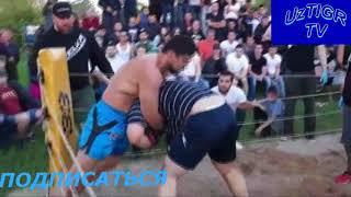 Узбекский боец жестко избил Чемпиона