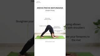 3 Yoga Poses for Strong Shoulders | Beginners Shoulder Mobility & Strength | Yoga With Archana Alur
