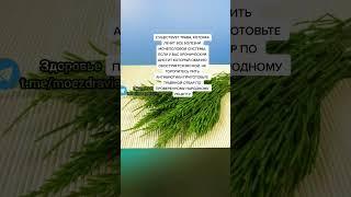 трава которая лечит все болезни #народнаямедицина #зож #здоровьеидолголетие #полезныесоветы #полезно