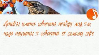 Логопед для взрослых - фразы, приносящие счастье