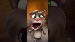 Talking Tom Cat New Video Best Funny Android GamePlay #9164