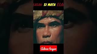 pembalasan mata elang