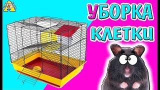 УБОРКА в КЛЕТКЕ хомки ЭЛЛИ | CLEANING IN THE CELL OF THE ALLY Hamster | не Детский канал Алиса Изи