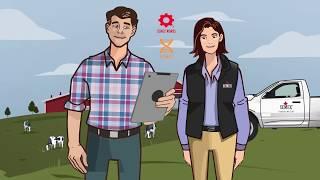 Semex Elevate Animation