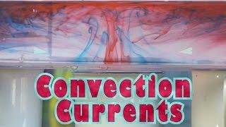 YouTube's best convection currents video! Science demonstration for your students