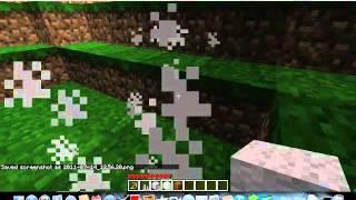 Blaine plays minecraft episode 1- Getting started.mp4