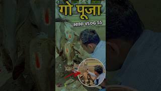 गो पूजा || MINI VLOG 55 #pradeeptiwarivlogs #minivlog #shorts #viralvideo