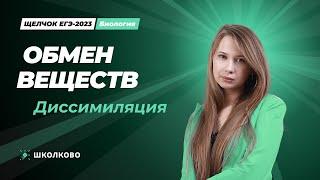 Обмен веществ. Диссимиляция.