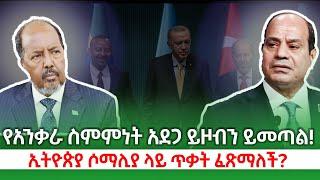 የአንቃራ ስምምነት አደጋ ያመጣብናል ኢትዮጵያ ሶማሊያ ላይ አደጋ ፈጽማለች