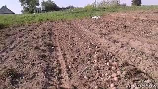 Мой урожай ( пора заготовок )