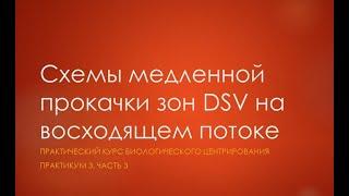 Практикум 3, часть 3 - Схемы медленная прокачки зон DSV на восходящем потоке