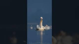 Chandlai lake