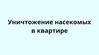 Обработка квартиры от клопов и тараканов