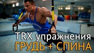 TRX упражнения на грудь и спину дома и на природе