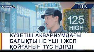 Мектеп күзетшісі аквариумдағы балықты не үшін жеп қойғанын түсіндірді