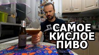 Пиво GRAND CRU от RODENBACH. САМОЕ КИСЛОЕ ПИВО! Дегустация. Фландрийский Красный Эль. #пиво #beer