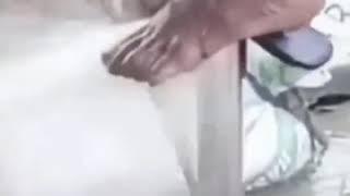 QIZ BECHORA     SIYIB QUYDA 