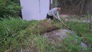 Clean up the sidewalk of the abandoned villa.clean up 007