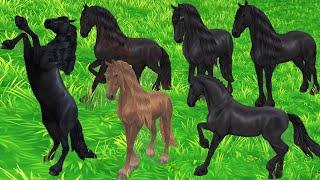 NEW New Friesian Horses in Star Stable